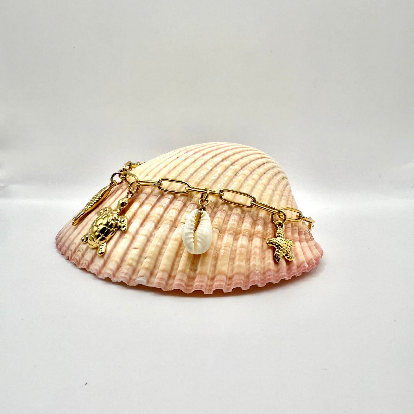 CHEVILLIÈRE TORTOLA