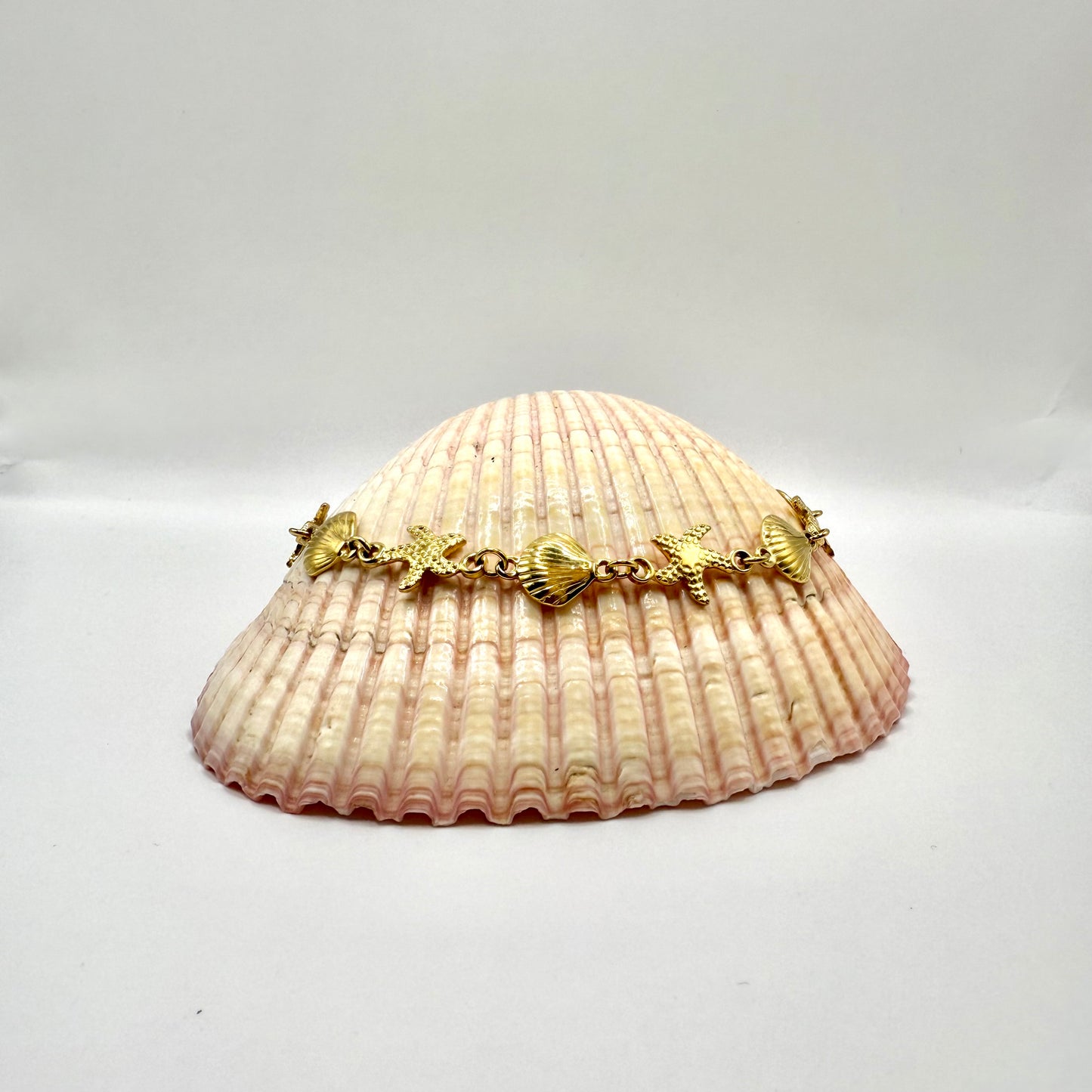 CHEVILLIÈRE CORALIA