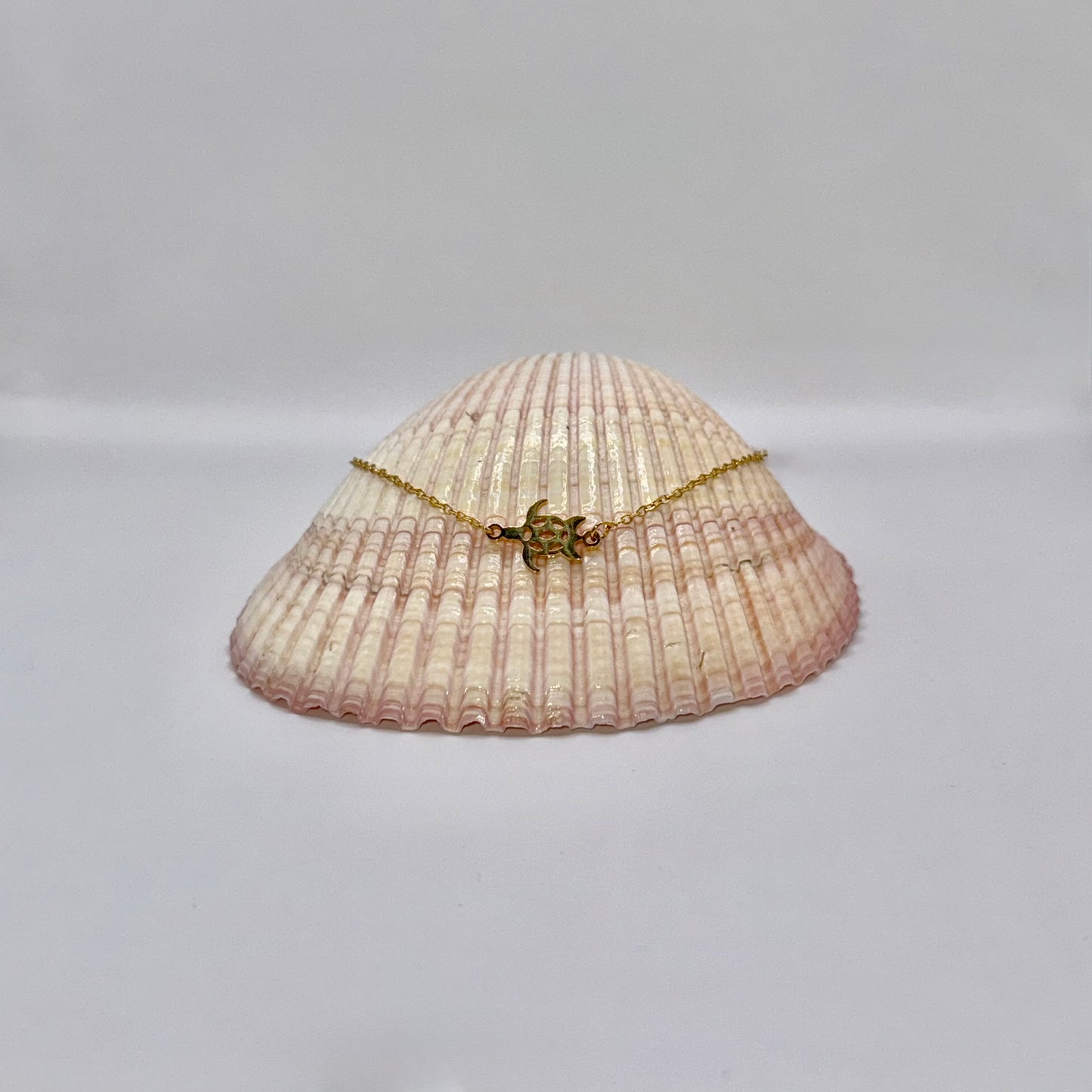 CHEVILLIÈRE SYLVIE
