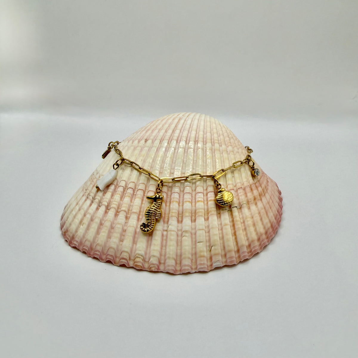 CHEVILLIERE HYPPOCAMPE