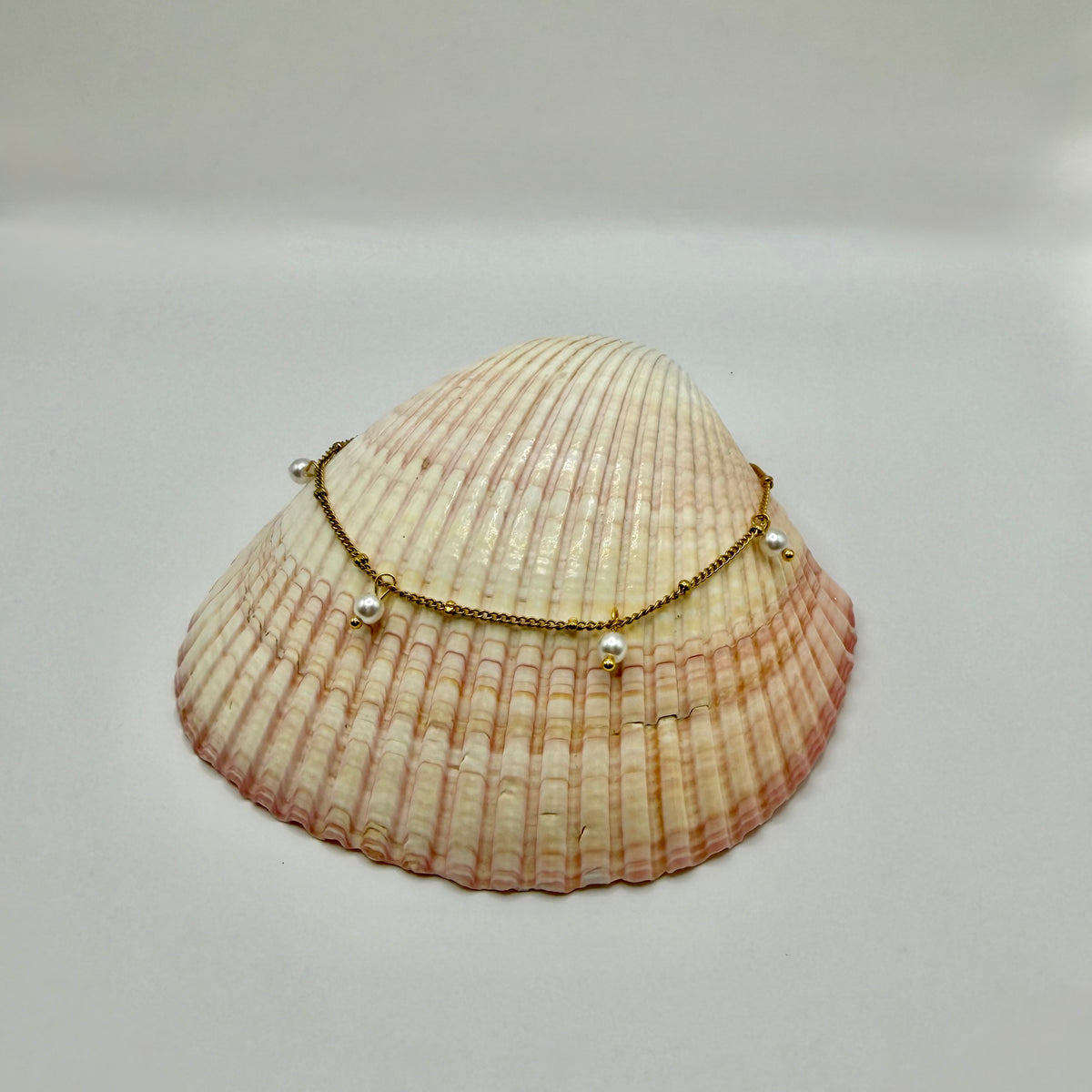 CHEVILLIERE PERLA