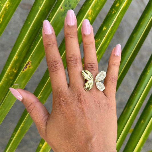 BAGUE MUSA