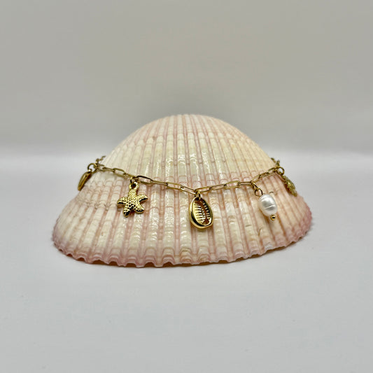 CHEVILLIÈRE CORALIA