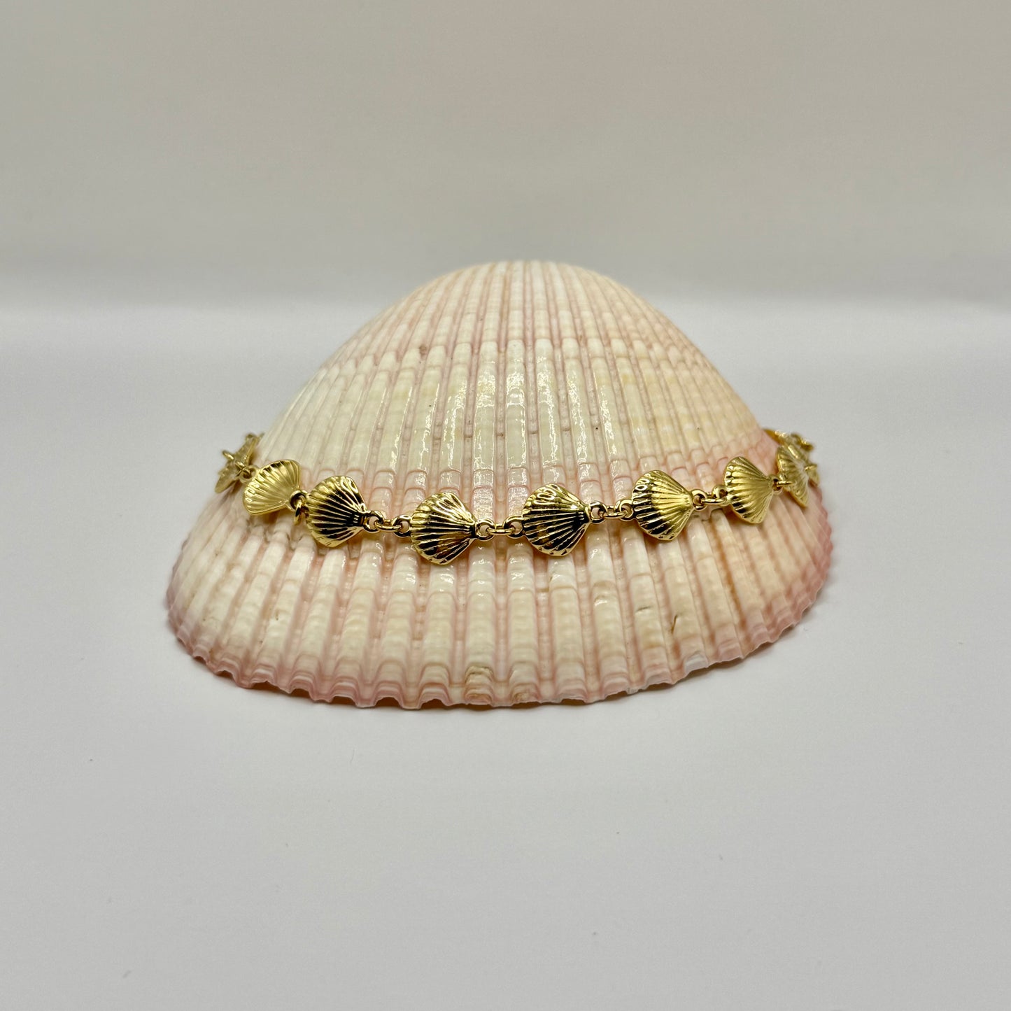 CHEVILLIÈRE ARIEL