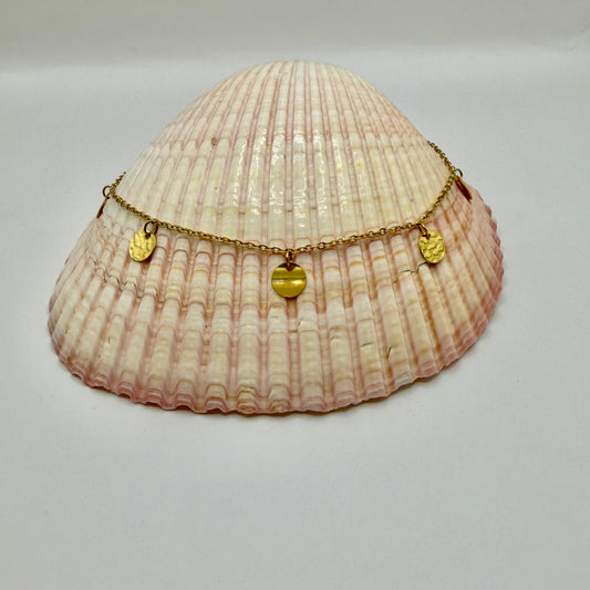 CHEVILLIERE PAMPILLE