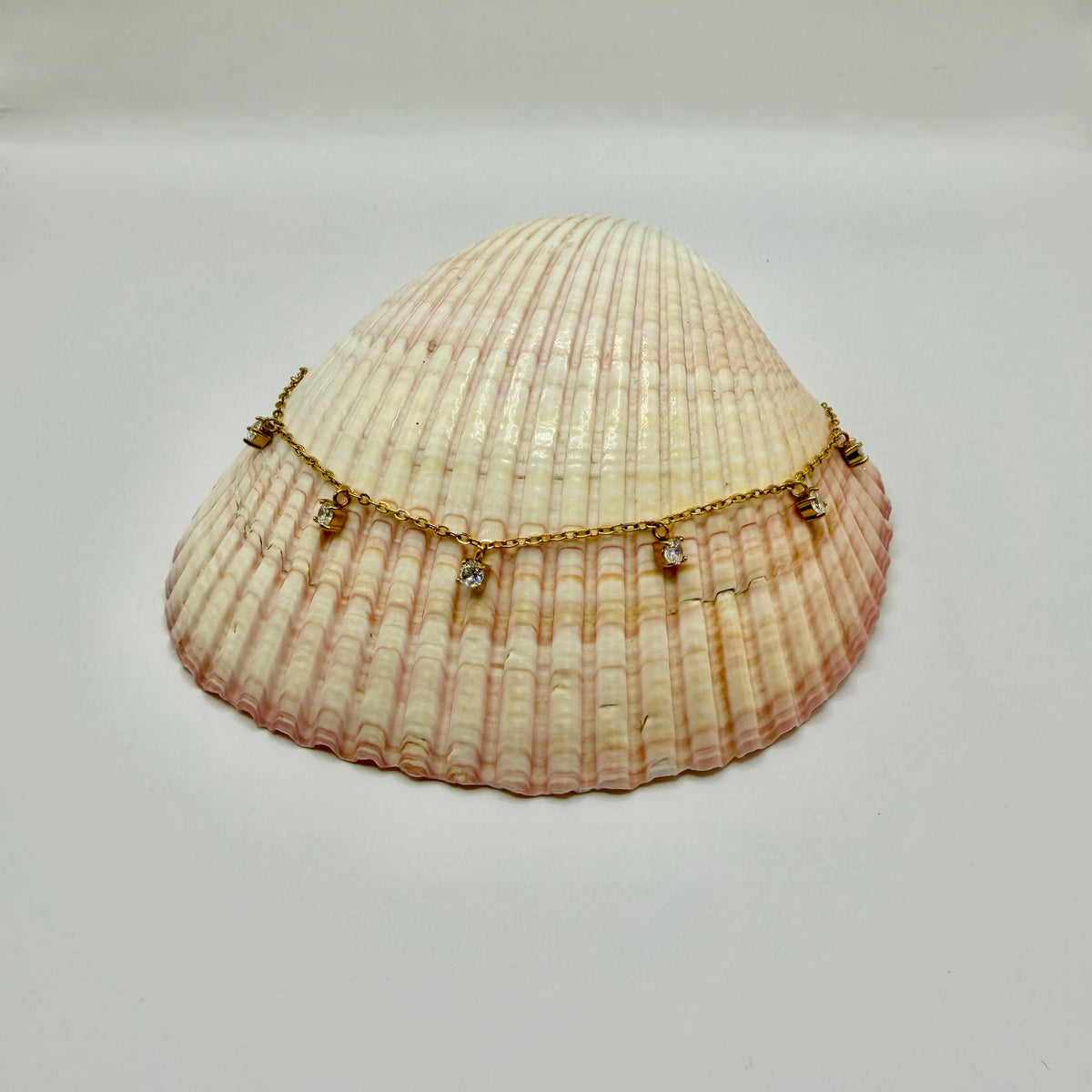 CHEVILLIERE AMINA