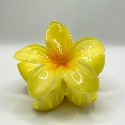PINCES FLEUR