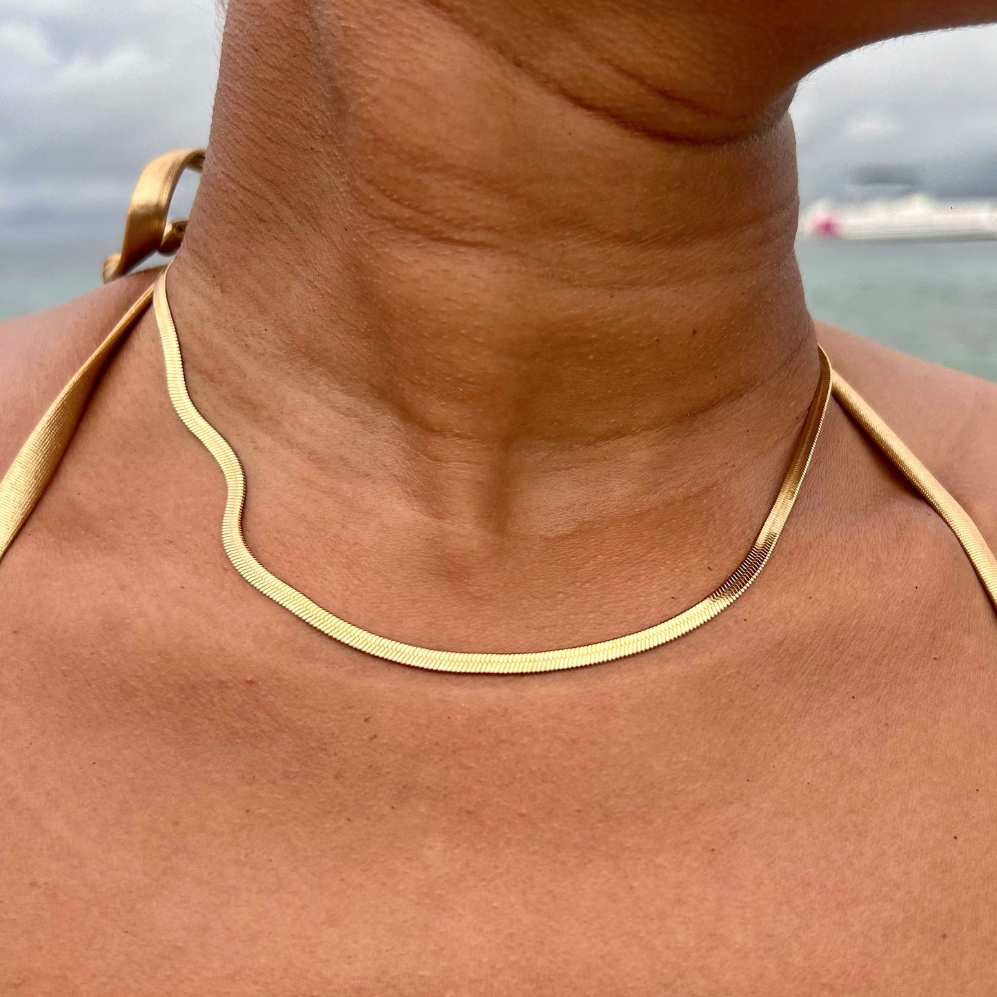 COLLIER SHANA